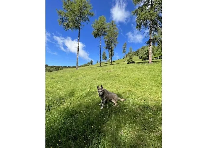 בית נופש 1-bedroom *