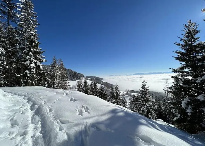 Сasa de vacaciones 1-bedroom