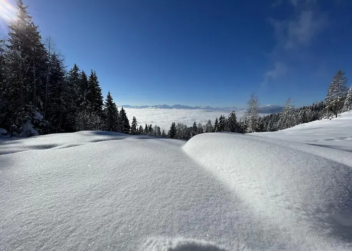 1-bedroom בית נופש Zirkitz