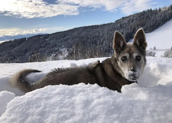 Сasa de vacaciones 1-bedroom Zirkitz